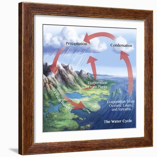 Earth's Water Cycle-Spencer Sutton-Framed Giclee Print