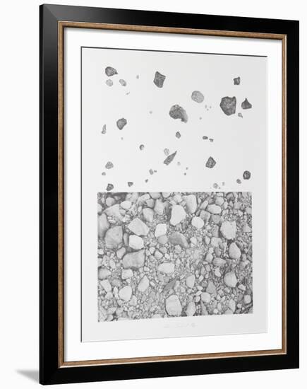 Earth Series 3-Alan Sonfist-Framed Limited Edition