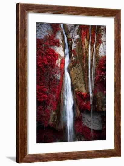 Earth Song-Philippe Sainte-Laudy-Framed Photographic Print