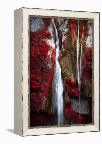 Earth Song-Philippe Sainte-Laudy-Framed Premier Image Canvas