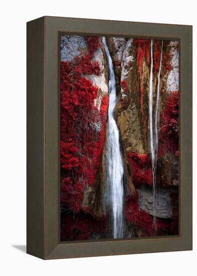 Earth Song-Philippe Sainte-Laudy-Framed Premier Image Canvas