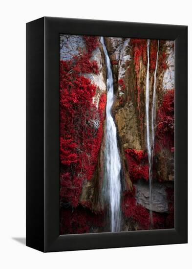 Earth Song-Philippe Sainte-Laudy-Framed Premier Image Canvas