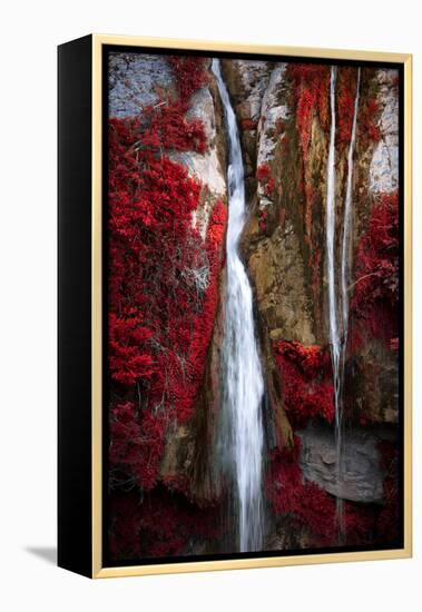 Earth Song-Philippe Sainte-Laudy-Framed Premier Image Canvas