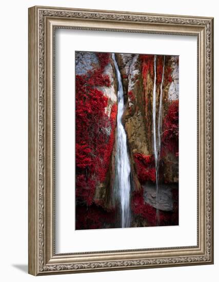 Earth Song-Philippe Sainte-Laudy-Framed Premium Photographic Print