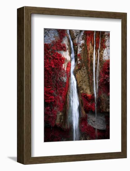 Earth Song-Philippe Sainte-Laudy-Framed Premium Photographic Print