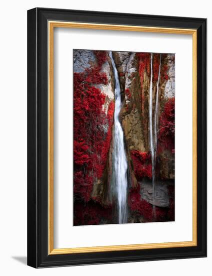 Earth Song-Philippe Sainte-Laudy-Framed Premium Photographic Print