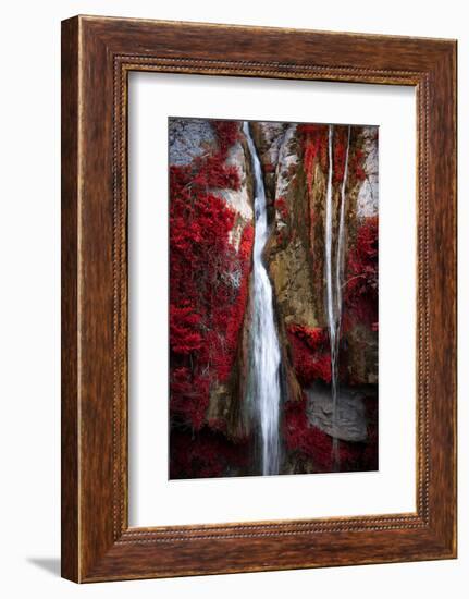 Earth Song-Philippe Sainte-Laudy-Framed Photographic Print