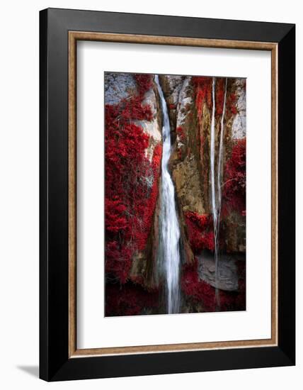 Earth Song-Philippe Sainte-Laudy-Framed Photographic Print