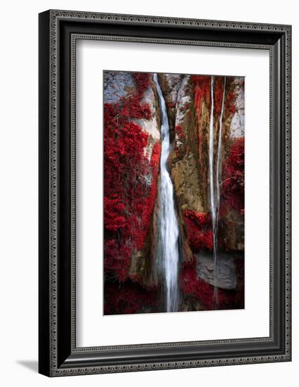 Earth Song-Philippe Sainte-Laudy-Framed Photographic Print