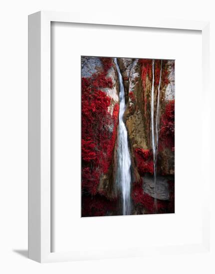 Earth Song-Philippe Sainte-Laudy-Framed Photographic Print