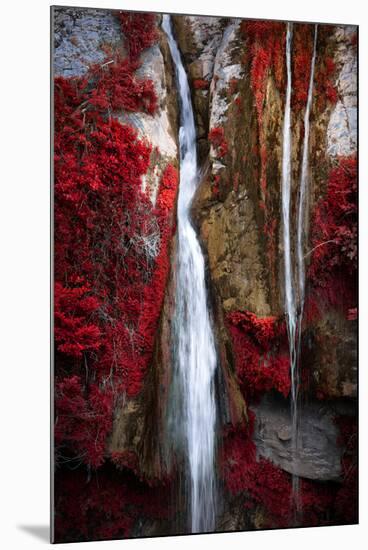 Earth Song-Philippe Sainte-Laudy-Mounted Premium Photographic Print