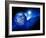 Earth, Sun And Moon-Detlev Van Ravenswaay-Framed Photographic Print