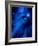 Earth, Sun And Moon-Detlev Van Ravenswaay-Framed Photographic Print