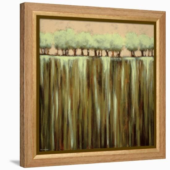 Earth Tones I-Rita Vindedzis-Framed Stretched Canvas