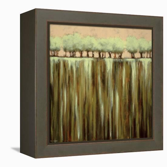 Earth Tones I-Rita Vindedzis-Framed Stretched Canvas