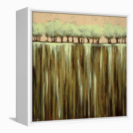 Earth Tones I-Rita Vindedzis-Framed Stretched Canvas