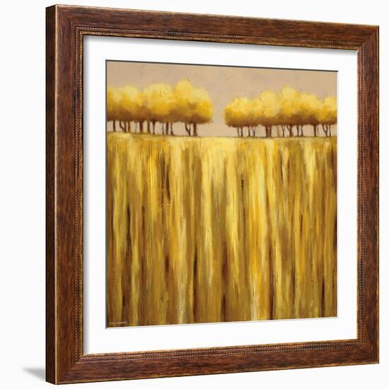 Earth Tones II-Rita Vindedzis-Framed Art Print