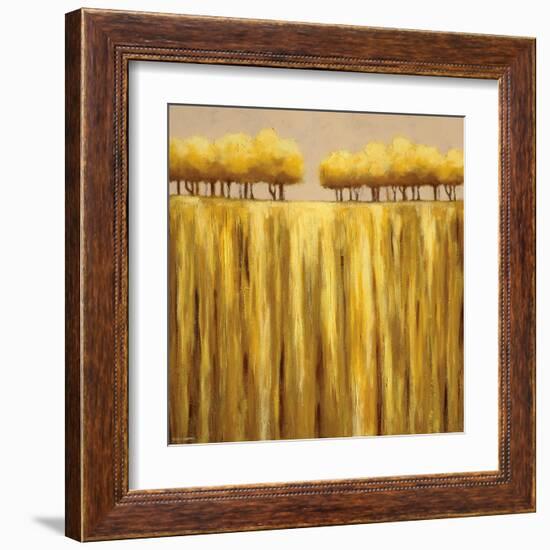 Earth Tones II-Rita Vindedzis-Framed Art Print