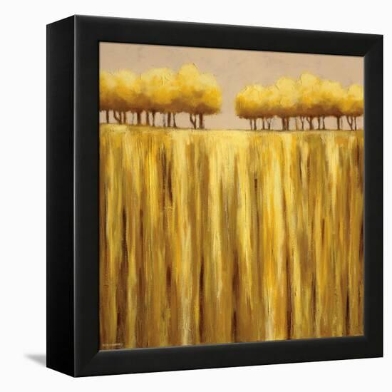 Earth Tones II-Rita Vindedzis-Framed Stretched Canvas