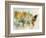 Earth Tones Usa-Ken Roko-Framed Art Print