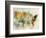 Earth Tones Usa-Ken Roko-Framed Art Print