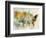 Earth Tones Usa-Ken Roko-Framed Art Print