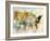 Earth Tones Usa-Ken Roko-Framed Art Print