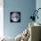 Earth View from Apollo 17 Moon Mission-null-Framed Stretched Canvas displayed on a wall