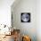 Earth View from Apollo 17 Moon Mission-null-Framed Stretched Canvas displayed on a wall