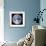 Earth View from Apollo 17 Moon Mission-null-Framed Photo displayed on a wall