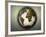 Earth with Circuit Board Continents-null-Framed Photographic Print