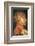 Earth-Giuseppe Arcimboldo-Framed Premium Giclee Print