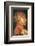 Earth-Giuseppe Arcimboldo-Framed Premium Giclee Print