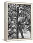 Eartha Kitt Playing in the Tree-Gordon Parks-Framed Premier Image Canvas