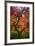 Earthal Tree Alive-Darren White Photography-Framed Giclee Print