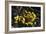 Earthen Bowls-Vincent van Gogh-Framed Art Print