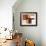 Earthen Hues II-Natasha Barnes-Framed Giclee Print displayed on a wall