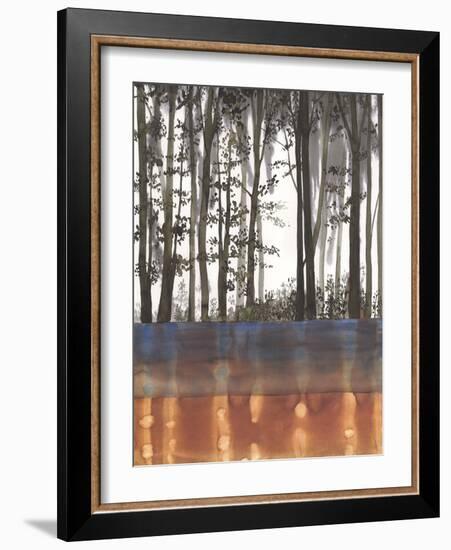 Earthern Layers-Sandra Jacobs-Framed Giclee Print