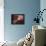 Earthlike Alien Planet, Artwork-Detlev Van Ravenswaay-Framed Premier Image Canvas displayed on a wall