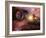 Earthlike Alien Planet, Artwork-Detlev Van Ravenswaay-Framed Photographic Print