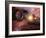 Earthlike Alien Planet, Artwork-Detlev Van Ravenswaay-Framed Photographic Print