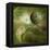 Earthlike Planet In Orion Nebula, Artwork-Detlev Van Ravenswaay-Framed Premier Image Canvas