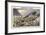 Earthquake at Pointe-A-Pitre, Guadeloupe, 1843-null-Framed Giclee Print