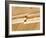 Earthquake Fault Line in Roadcut, Interstate 40, Kingman, Arizona, USA-Richard Cummins-Framed Photographic Print