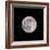 Earths Moon-Steve Gadomski-Framed Photographic Print