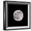 Earths Moon-Steve Gadomski-Framed Photographic Print