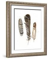 Earthtone Feathers I-Alicia Ludwig-Framed Art Print