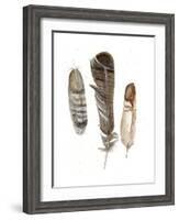 Earthtone Feathers I-Alicia Ludwig-Framed Art Print