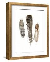 Earthtone Feathers I-Alicia Ludwig-Framed Art Print