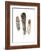 Earthtone Feathers I-Alicia Ludwig-Framed Art Print